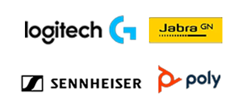Video Conference & Audio